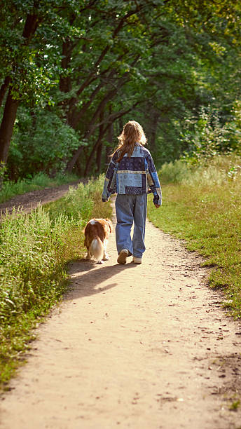 istock Girl walking with dog on sunny forest path in peaceful nature 2242569832