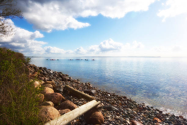 Lakeside scene with clear waters and kayakers paddling leisurely under picturesque clouds. Tree-lined shore with assorted rocks and logs adds natural charm to the tranquil environment, appealing to outdoor enthusiasts and nature admirers.