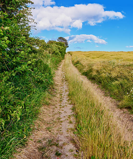 istock A scenic dirt path softly lined by green hedgerows and golden meadows on a sunny summer day under a backdrop of vibrant blue skies 2242571048