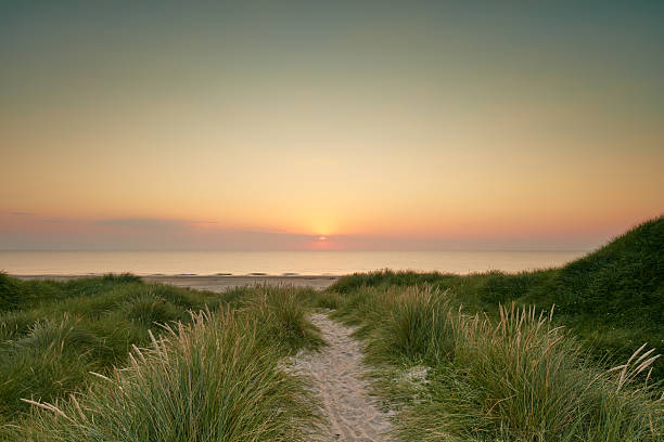 istock Idyllic beach pathway through Ammophila arenaria dunes overlooking a sublime sunset on the tranquil sea horizon 2242571080
