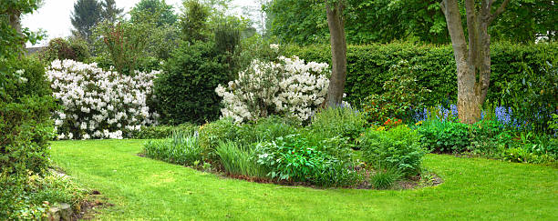 Landscape of green trees, green grass and cloudy sky in English formal garden