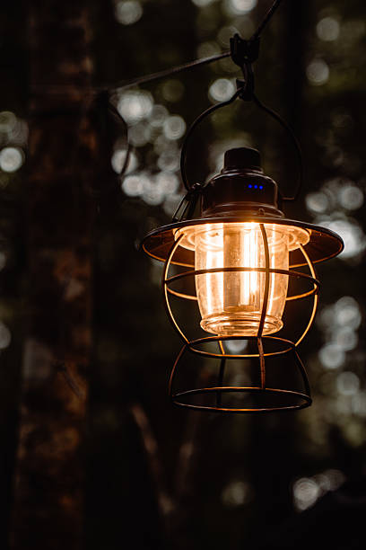 istock Vintage Lantern Glowing in Forest Twilight 2242584497