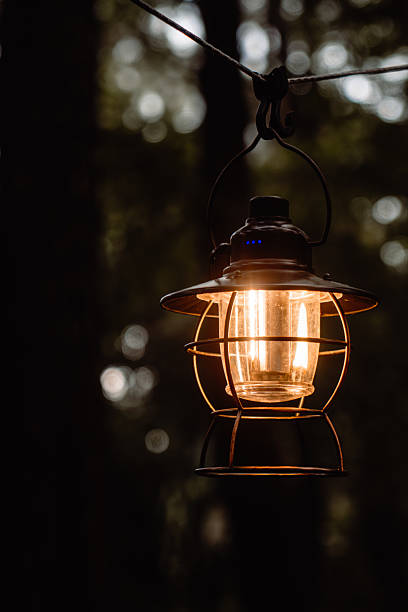 istock Vintage Lantern Glowing in Forest Twilight 2242584503