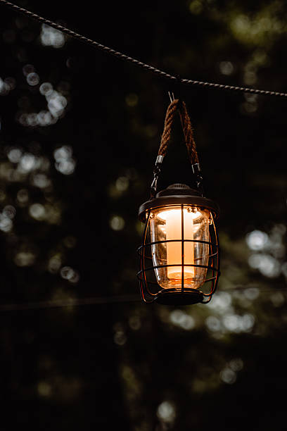 istock Vintage Lantern Glowing in Forest Twilight 2242584526