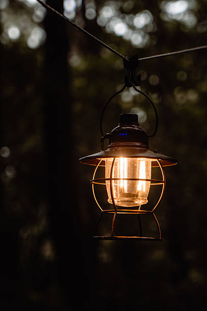 istock Vintage Lantern Glowing in Forest Twilight 2242584538