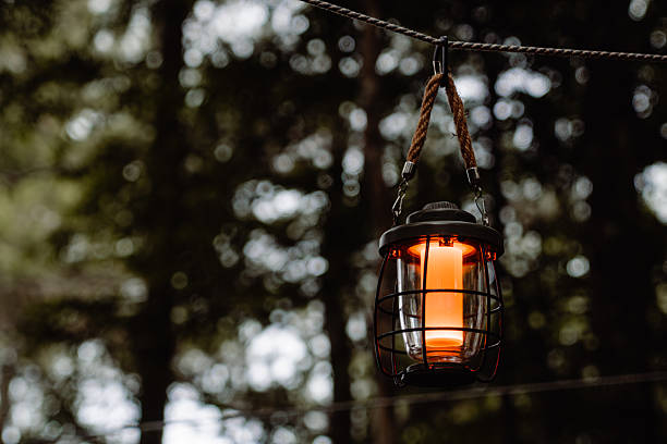 istock Vintage Lantern Glowing in Forest Twilight 2242584583