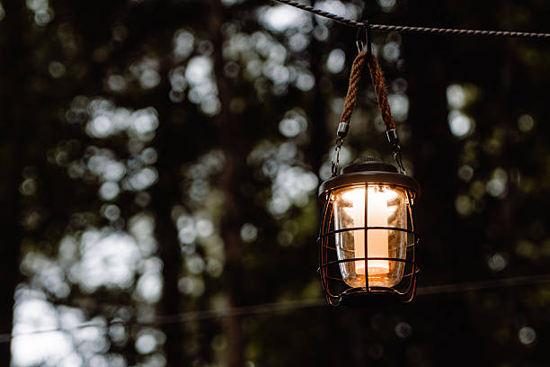 istock Vintage Lantern Glowing in Forest Twilight 2242584584