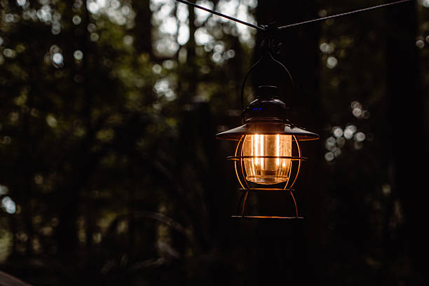 istock Vintage Lantern Glowing in Forest Twilight 2242584586