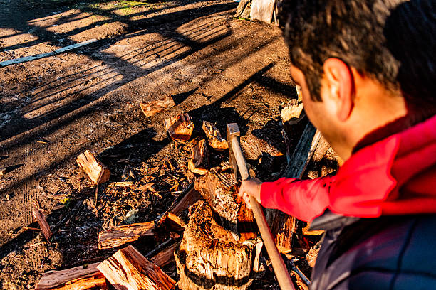 Lumberjack cutting wood at farm