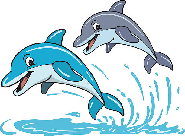 11,300+ Happy Dolphin Stock Photos, Pictures & Royalty-Free Images