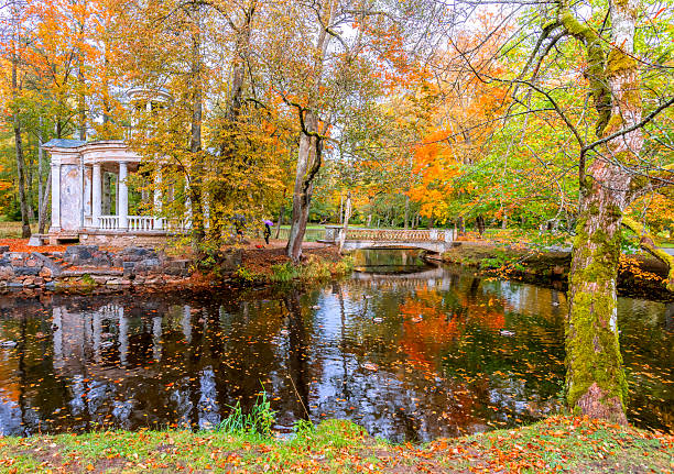 istock Late autumn patterns in old public park 2242593937