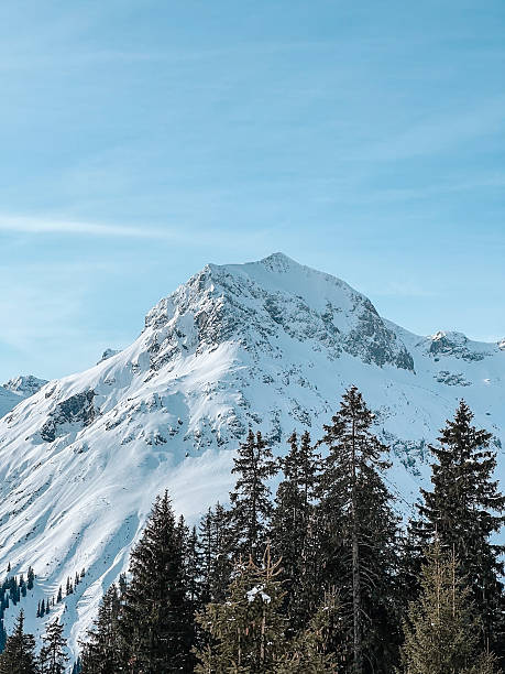 Majestic alpine peak rising above a dense evergreen forest under a clear blue sky. The scene evokes serenity and natural grandeur, typical of winter landscapes in the European Alps. Omeshorn in Lech.