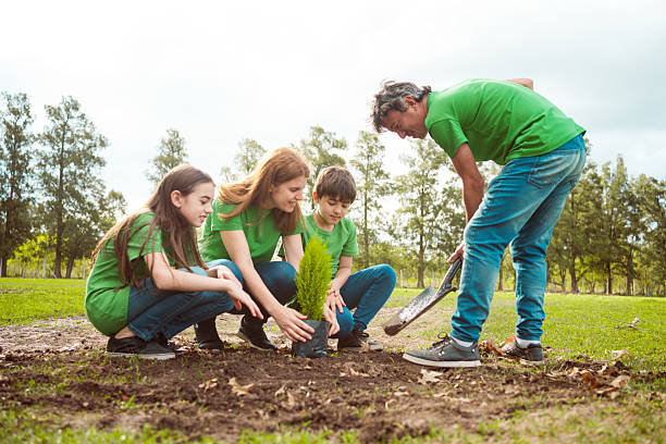istock Environmentalists planting together in park 2242600454
