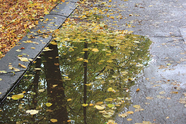 Yellow autumn leaf floating on water with ripples and soft reflection. Fall season background.