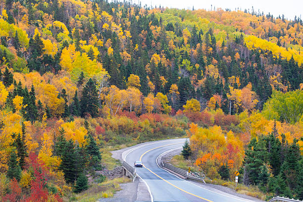 Canada Newfoundland  St John's region Trans Canada highway Number one