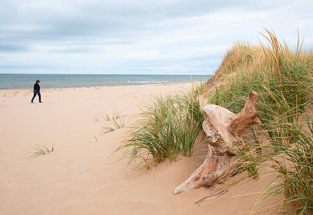 Sand dunes and female tourist