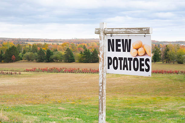 Canada Prince Edward Island  farm , potatoes for sale sign