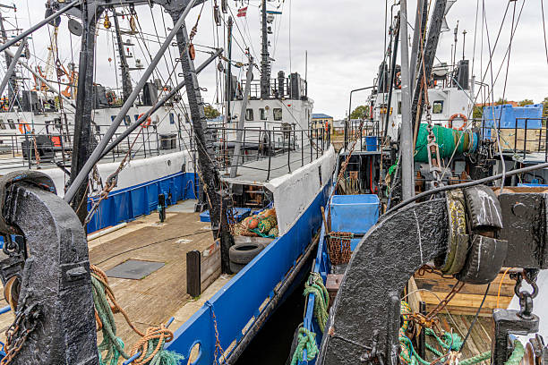 High-angle view of two identical blue and white commercial fishing trawlers closely docked side-by-side, featuring complex rigging and fishing gear.