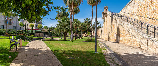 istock Soaking up the vibrant greenery and the stunning view where history meets modern charm. 2242610384