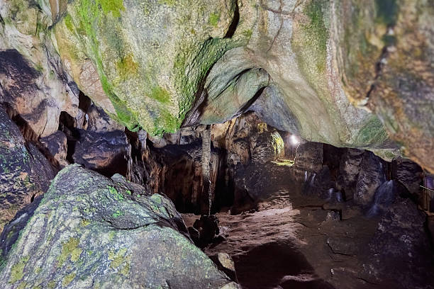 istock Various rock formations with stalactites and stalagmites in the Vadu Crisului cave, Bihor, Romania 2242611331