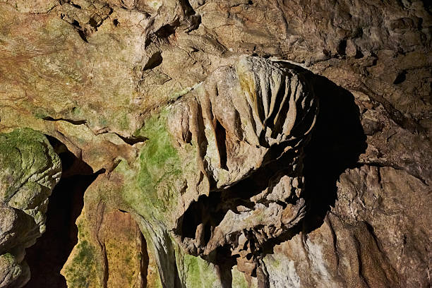 Vadu Crisului Cave in Bihor, Romania, features impressive limestone formations. Stalactites hang from the ceiling, while stalagmites rise from the floor, some meeting to form columns