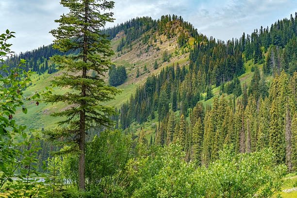 istock Hiking to inspire 2242612224