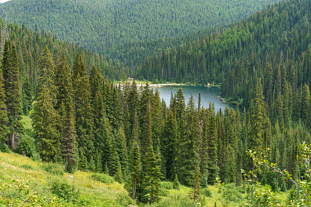 istock Hiking to inspire 2242612226