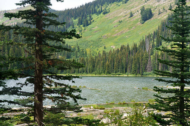 istock Hiking to inspire 2242613592