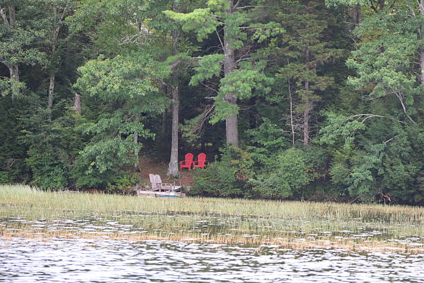 istock Lakefront Adirondack Chairs in the Forest 2242617431
