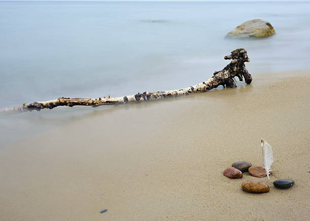 Ruby Beach sea stacks in dense marine fog with driftwood logs along Pacific coast.