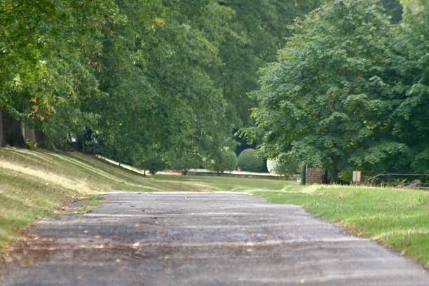 istock A peaceful countryside path winds through tall trees and lush greenery. Sunlight filters gently through the leaves, casting dappled shadows along the quiet trail. A serene scene perfect for reflection. 2242619271