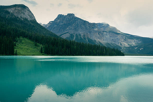 Raised view of mountains, forest and lake at sunrise, Garibaldi Park, British Columbia
