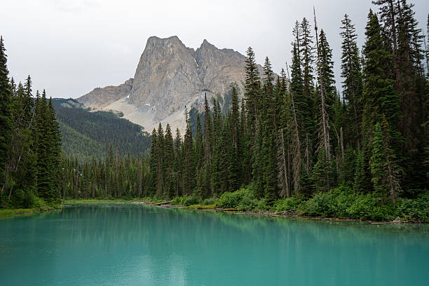 Turquoise lake surrounded by lush forest and rugged mountain peaks. Emerald Lake, BC