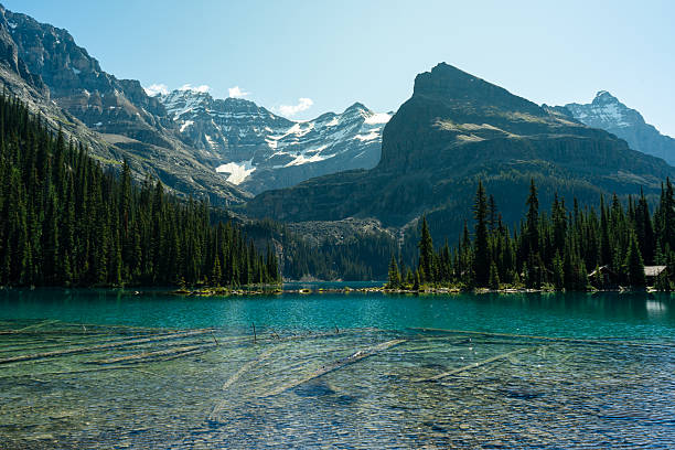 istock A serene alpine lake reflects snow-capped mountains and towering pine trees. 2242623678