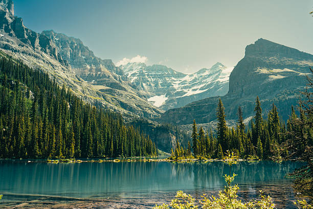 istock A scenic view of a tranquil lake surrounded by towering mountains. 2242623739
