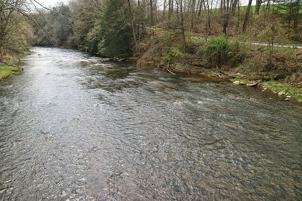 istock A calm river winds through a natural landscape 2242626710