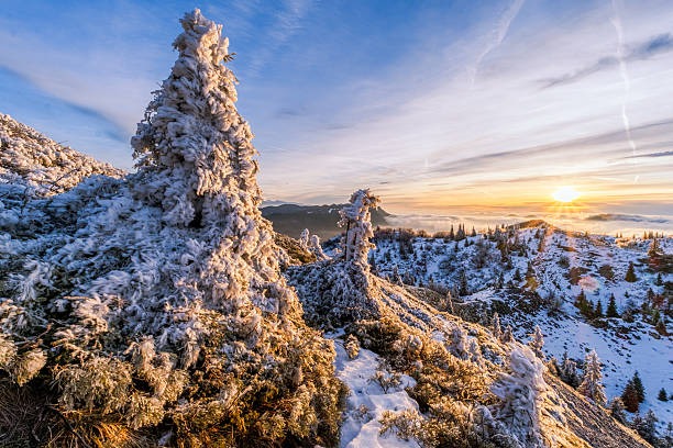 istock Snow-covered trees at sunrise on a mountain. 2242629891