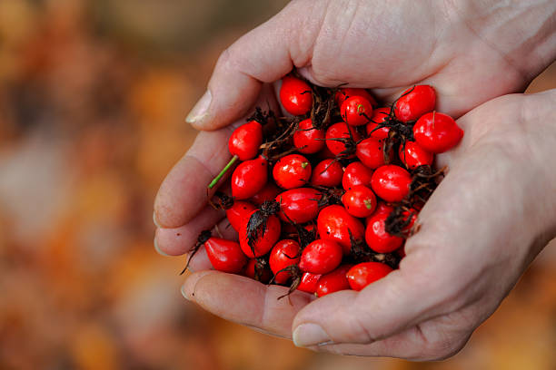 istock handful of superfoods 2242630993