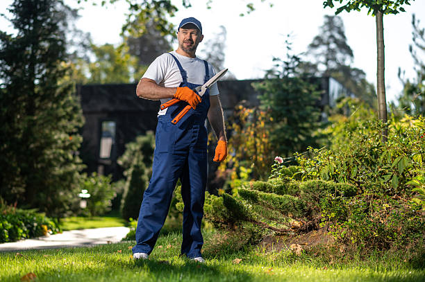 istock Worker wearing gloves and cap maintaining plants 2242631749