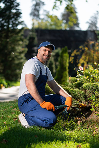 istock Man in uniform working with gardening tools during outdoor maintenance 2242631750