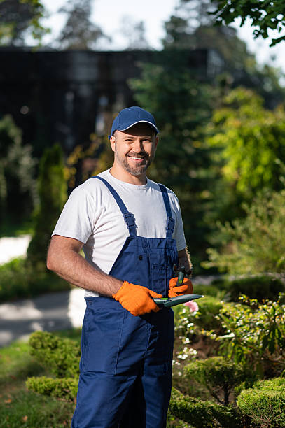 istock Worker kneeling on grass while replanting shrubs in garden 2242631751