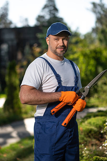 istock Male gardener doing trimming work in courtyard 2242631754