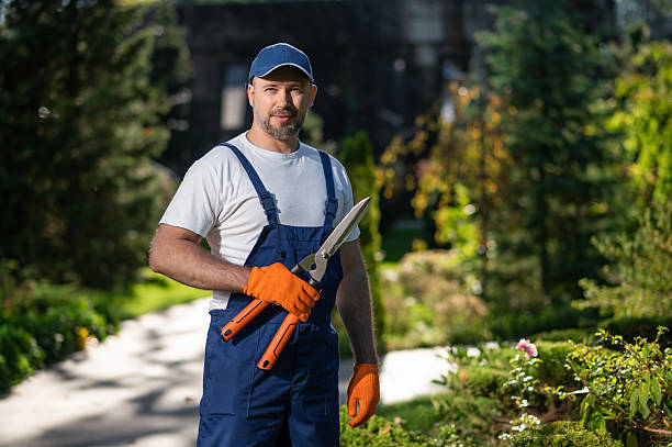 istock Worker wearing gloves and cap maintaining plants 2242631760