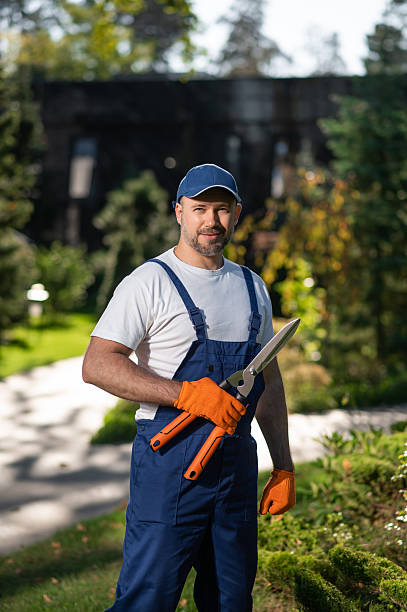 istock Male gardener doing trimming work in courtyard 2242631780