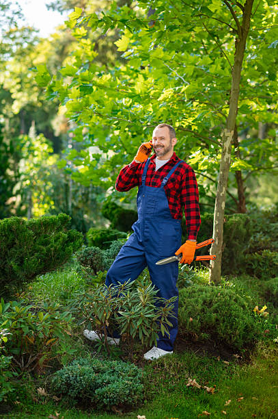 istock Gardener speaking on phone in landscaped courtyard 2242631808