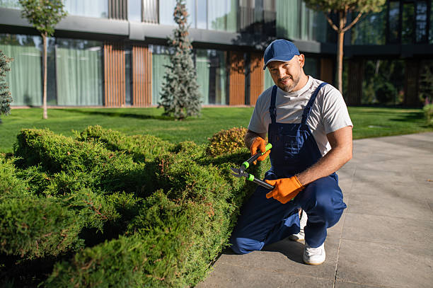 istock Gardener caring for plants in modern urban environment 2242632087