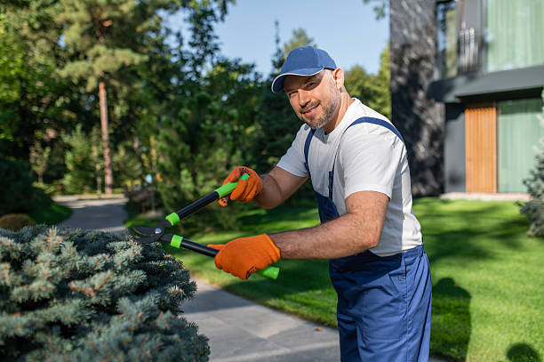 istock Worker in uniform maintaining green landscape in courtyard 2242632096