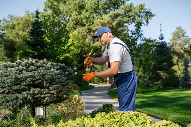 istock Landscaping maintenance worker performing garden care 2242632110