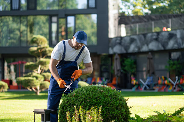 istock Man worker trimming greenery in landscaped yard of modern architecture complex 2242632128