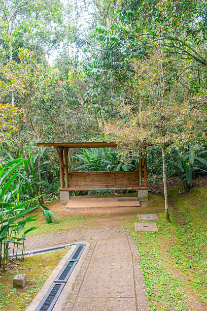 istock Nature Path with Shelter in San Agustin 2242635288